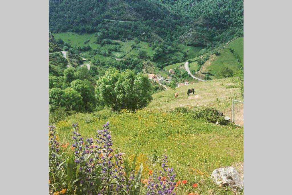 파라모 Casa Con Vistas Y Encanto En Parque Natural 빌라 외부 사진
